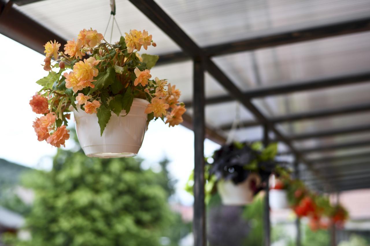 Bogács Rajna Villabridge&Spa المظهر الخارجي الصورة